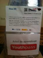 /album/fotogaleria/a0048-taller-arbol-youthpass-jpg/